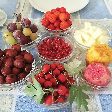 Bed & Breakfast Casa La Dolce Vita *